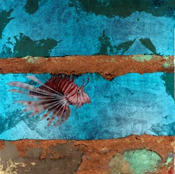 Pirate of the Caribbean by Nick Oneill - Glazed Original Painting on Box Board sized 24x24 inches. Available from Whitewall Galleries